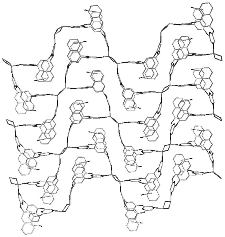 Bipyrazine macrocyclic compound, preparation method and application of bipyrazine macrocyclic compound in construction of fluorescent powder