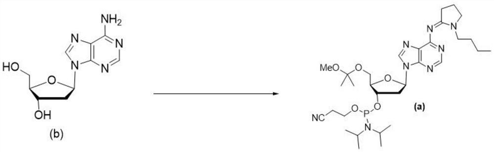 Phosphoramidite nucleoside derivative as well as synthesis method, application and kit thereof