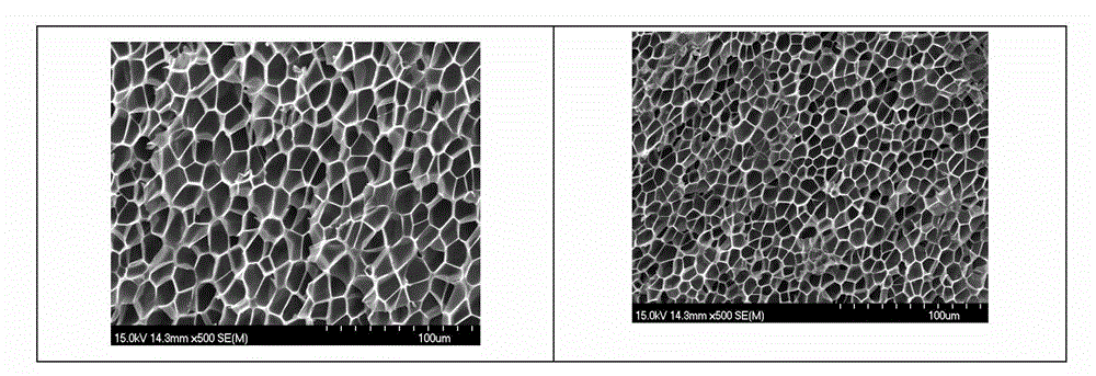 Supercritical carbon dioxide (CO2) foaming nucleating agent and preparation method thereof
