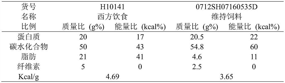 Application of traditional Chinese medicine composition to preparation of medicine for preventing or/and treating obesity