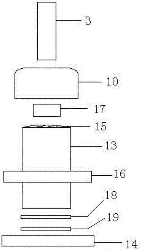 Transport packaging bag for live fish and manufacturing and using methods thereof