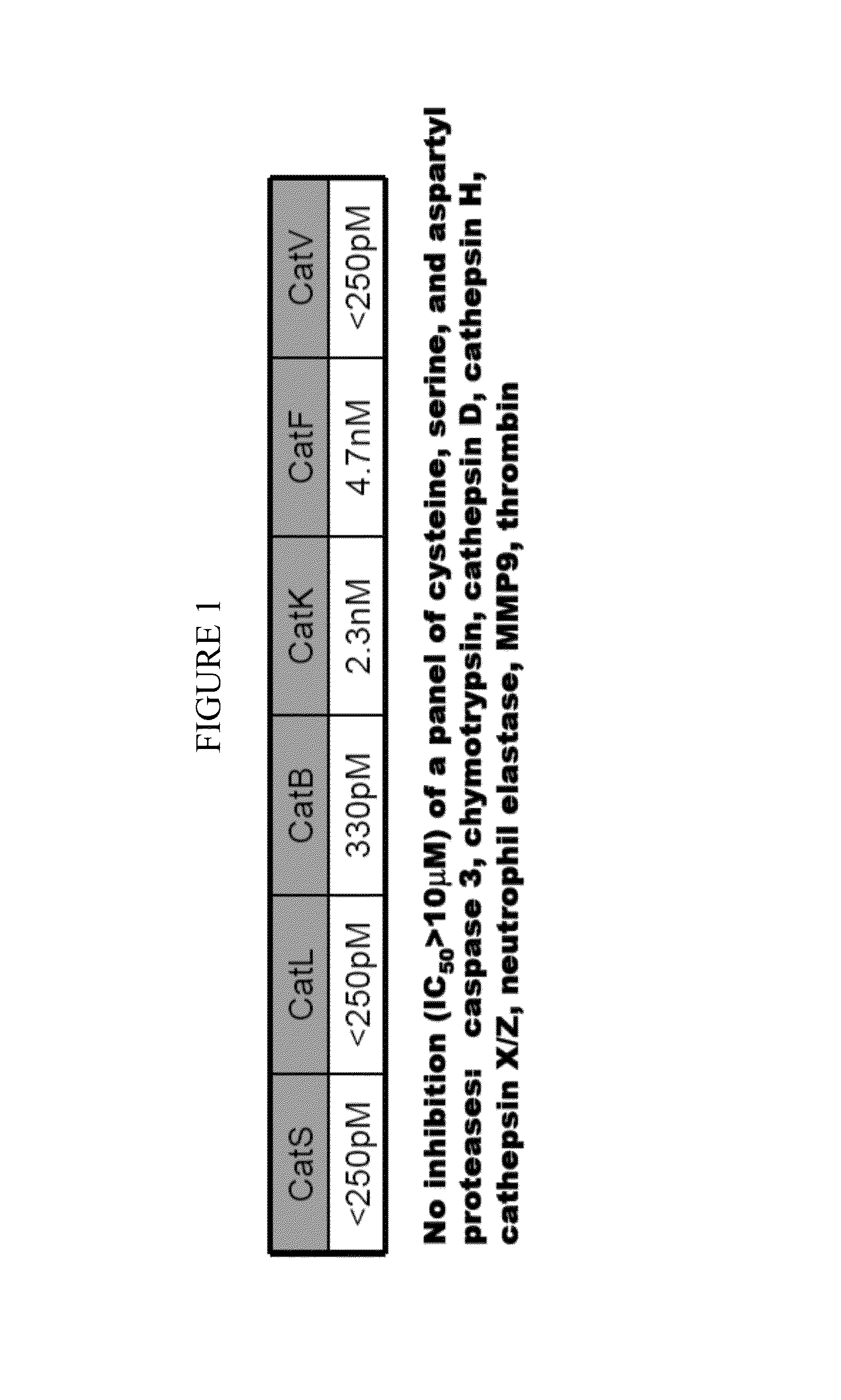 Cathepsin inhibitors for the treatment of bone cancer and bone cancer pain