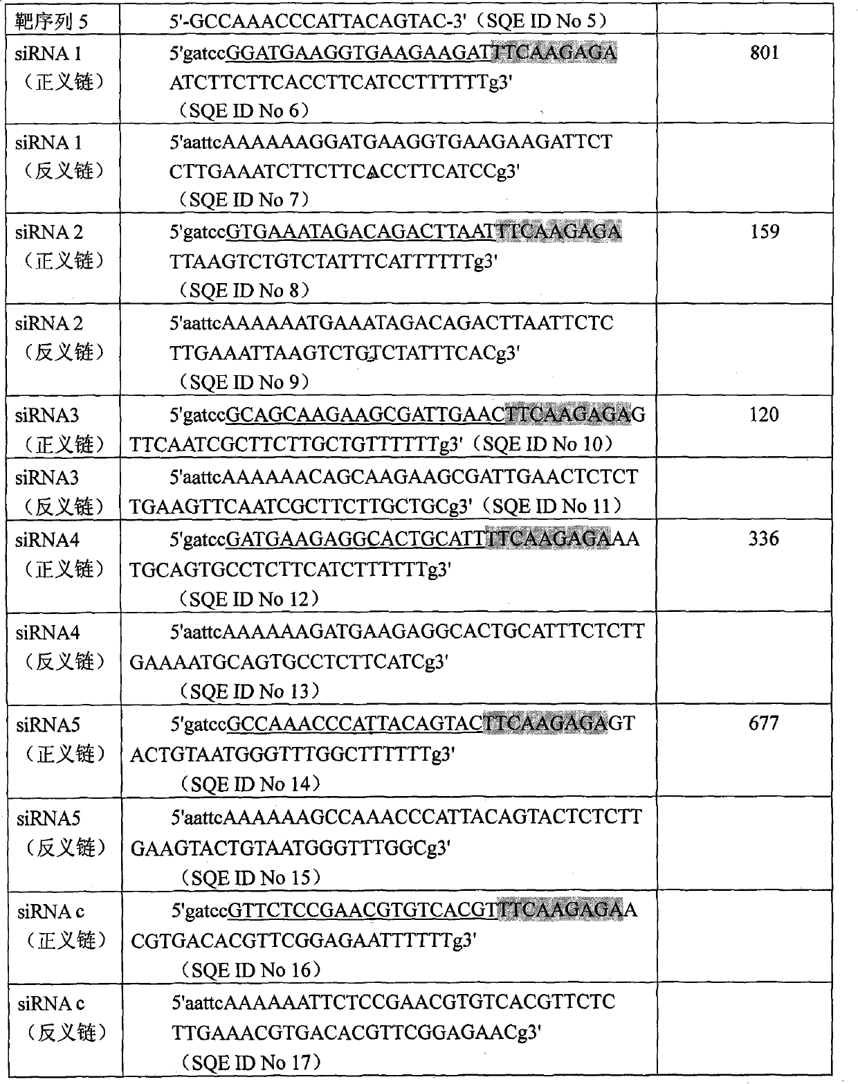 shRNA expression vector expressed by specificity inhibitor set protein, construction method and application thereof