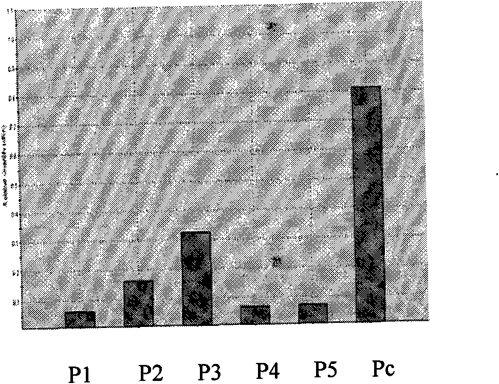 shRNA expression vector expressed by specificity inhibitor set protein, construction method and application thereof