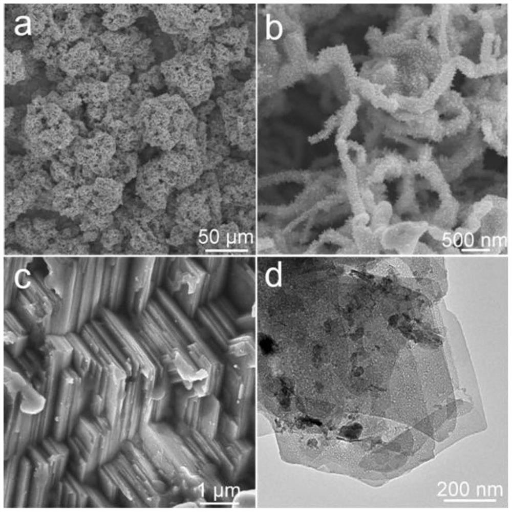 Application of Regenerative Electrode of Zinc-ion Battery in Electrochemical Reduction of Carbon Dioxide