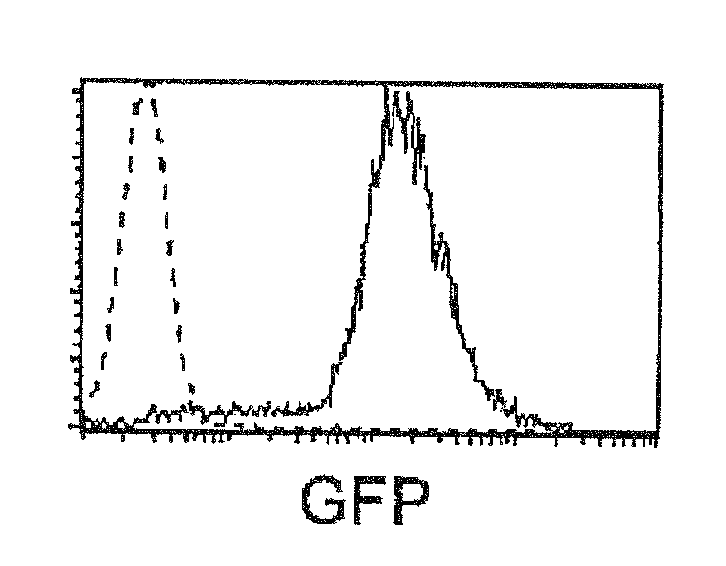 Method for detection of human precursor t cell and precursor b cell