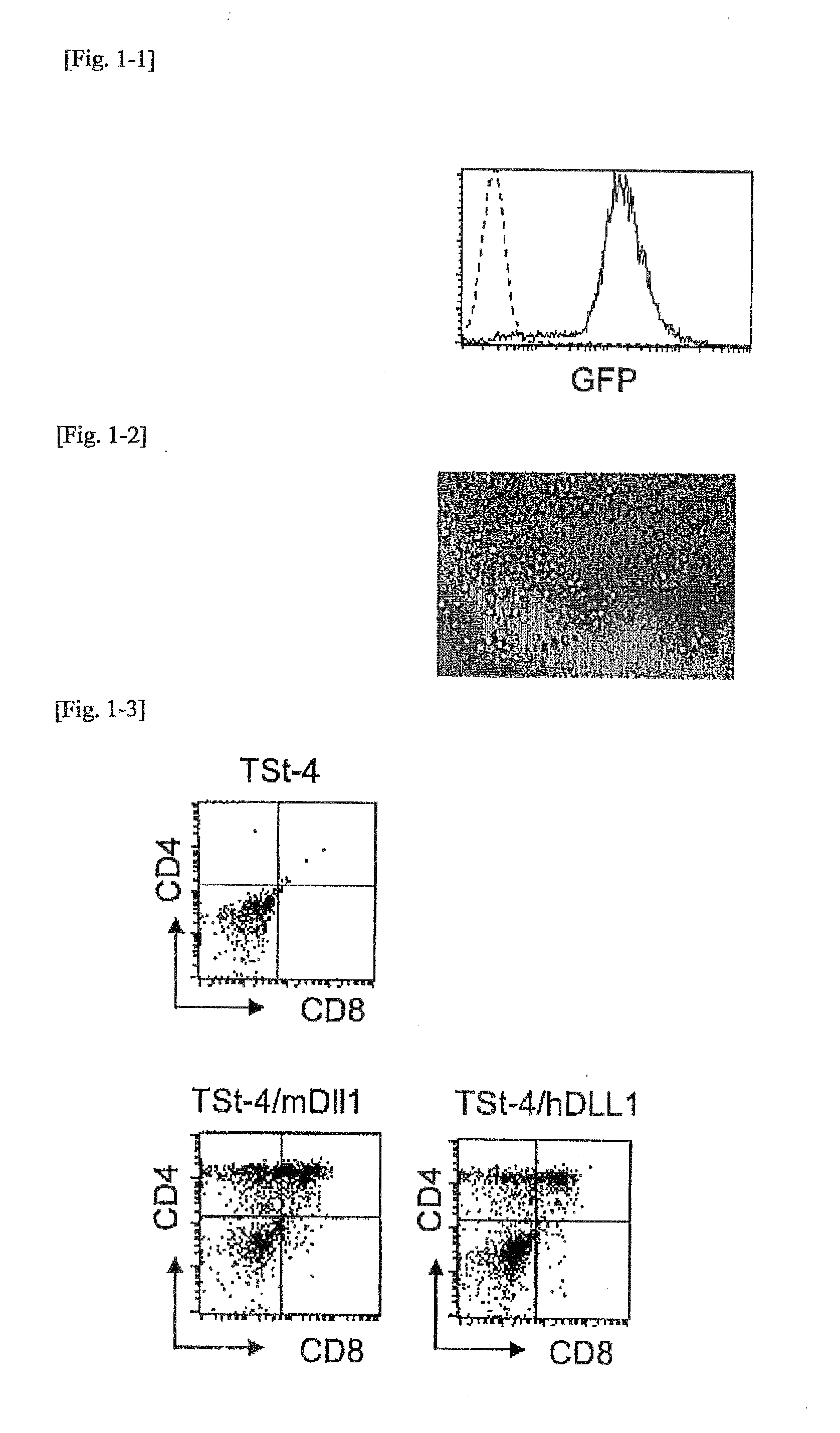 Method for detection of human precursor t cell and precursor b cell