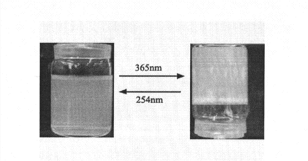 Photoresponsive reversible chitosan hydrogel and preparation method thereof