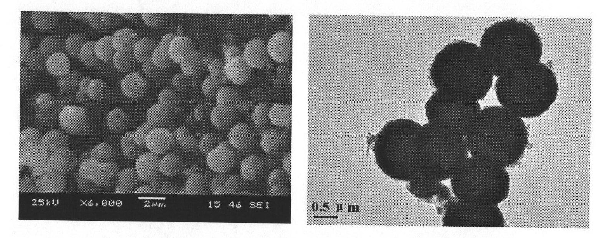 Bismuth ferrite microsphere photocatalyst with hollow structure and preparation method thereof