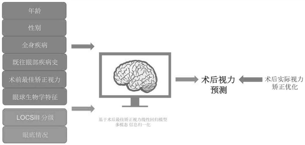 An intelligent prediction system for the prognosis of high myopia cataract surgery