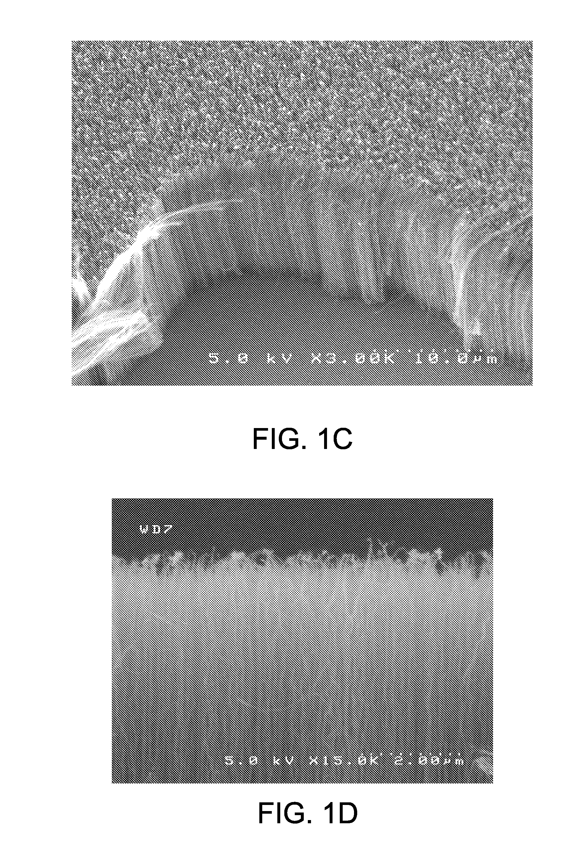 Electrode useable in electrochemical cell and method of making same