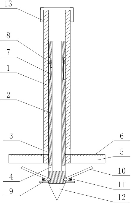 Bamboo shoot protection device and protection method for preventing and treating wireworms