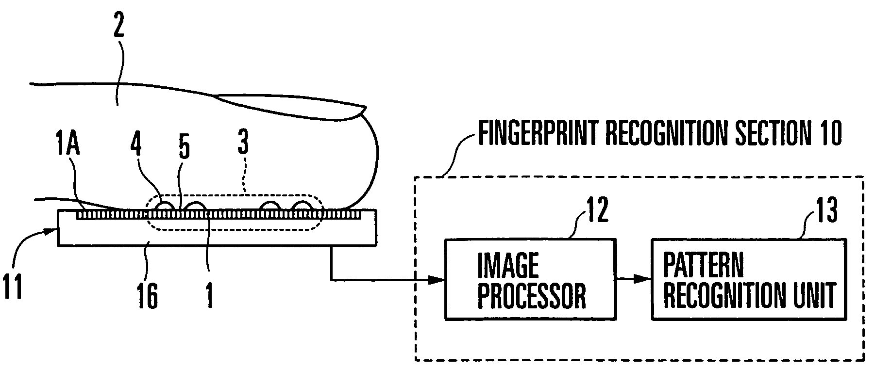 Fingerprint input apparatus