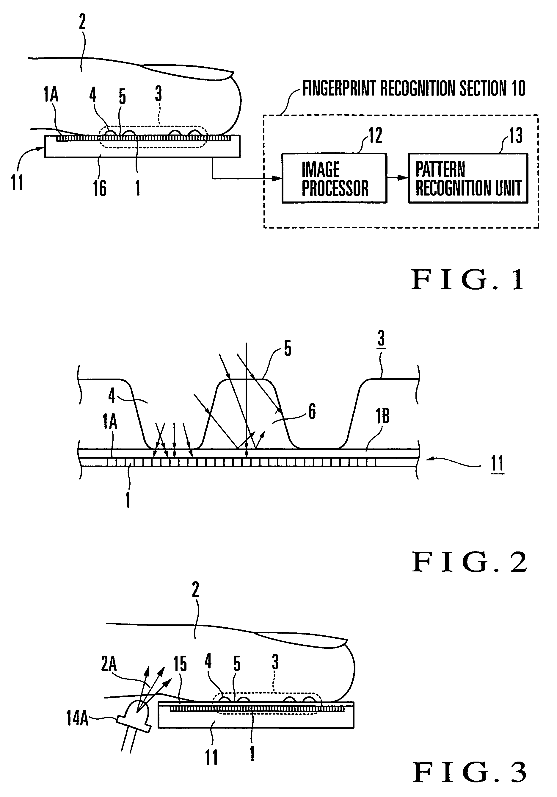 Fingerprint input apparatus