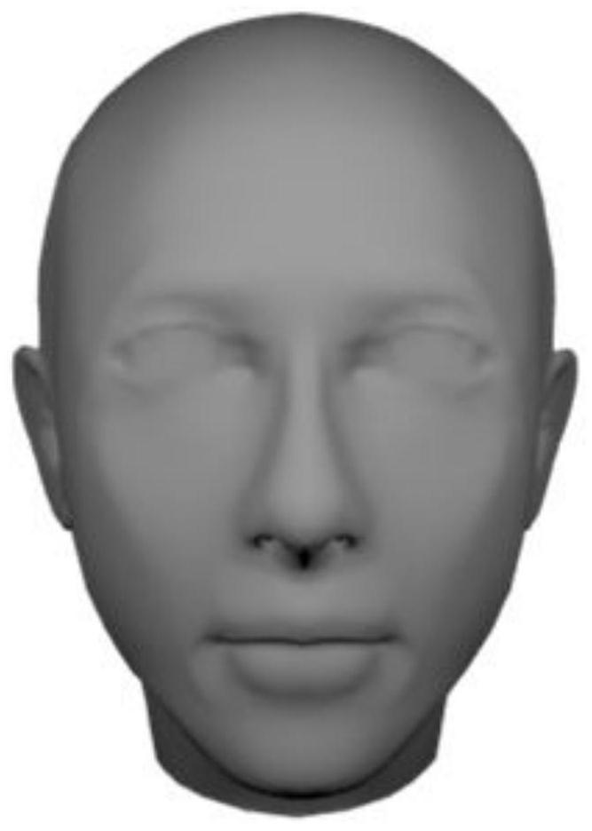 A non-standard 3D face mesh texture method based on template face approximation