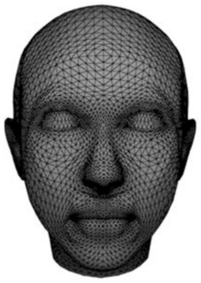 A non-standard 3D face mesh texture method based on template face approximation