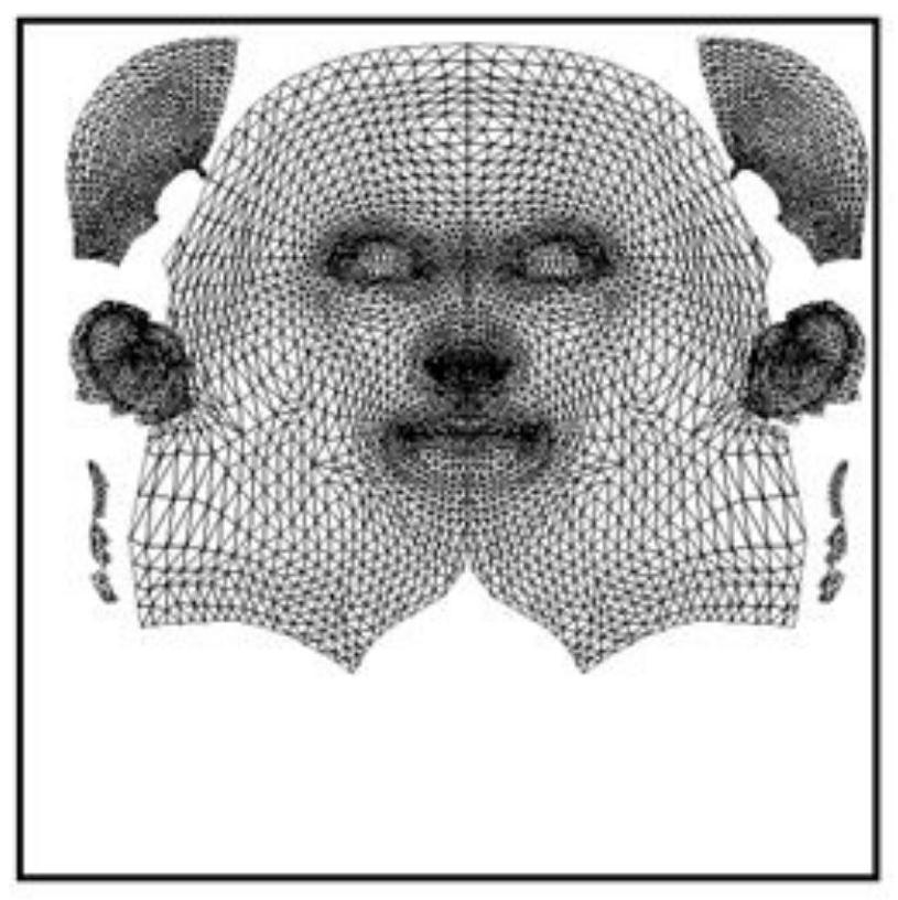 A non-standard 3D face mesh texture method based on template face approximation