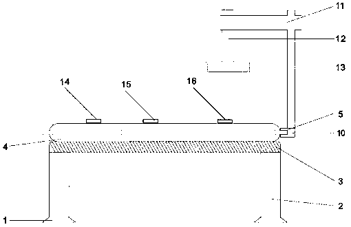 Precise positioning device for radiotherapy