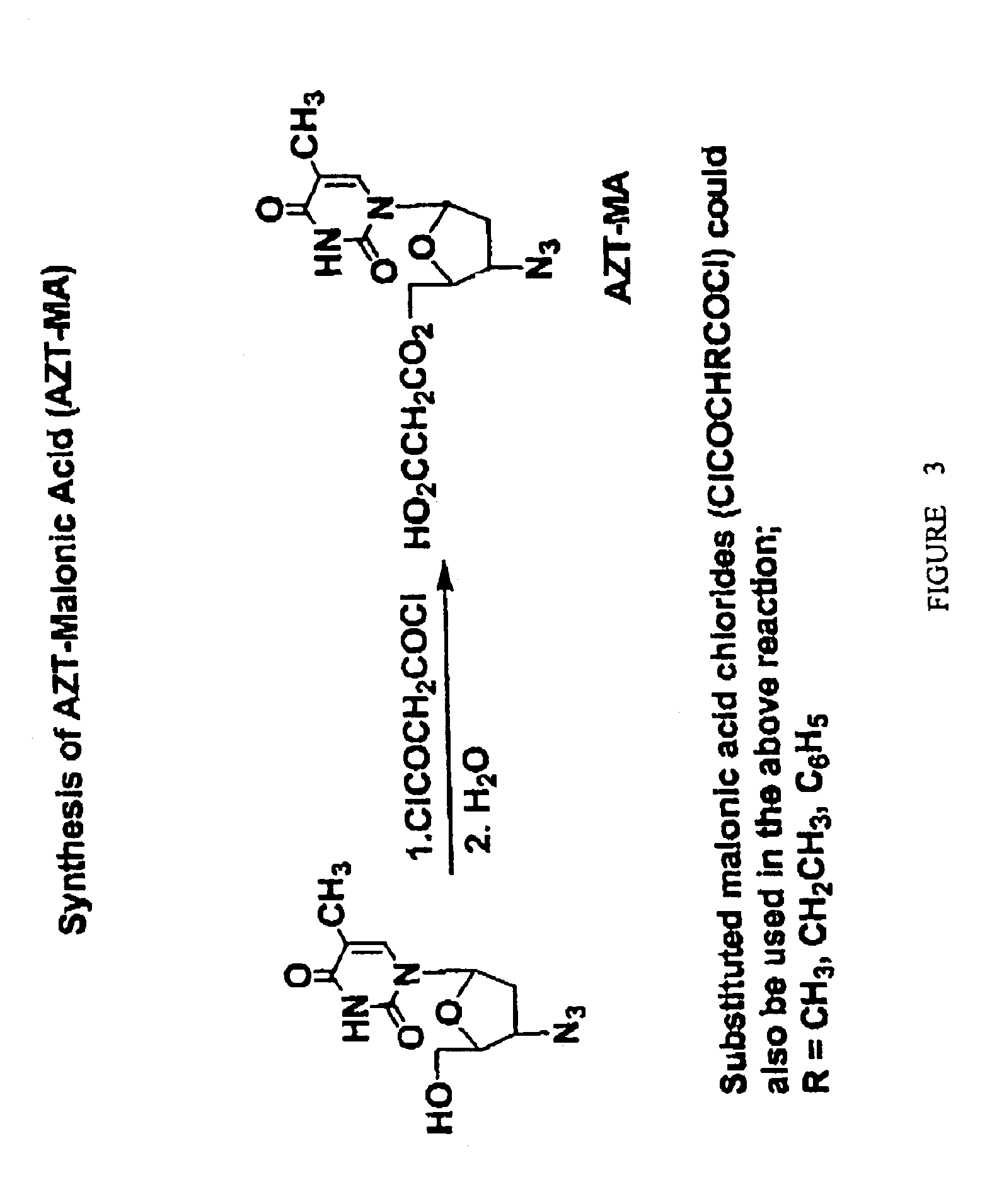 Compositions and methods of double-targeting virus infections and cancer cells