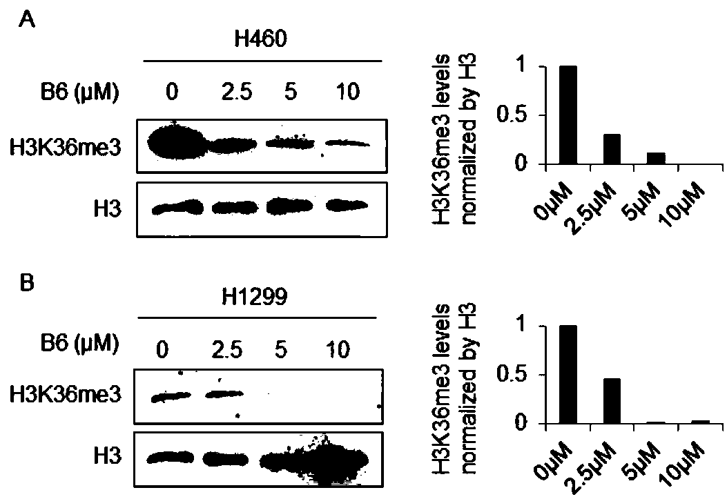 Compound B6 as histone methyltransferase NSD3 activity inhibitor and application thereof