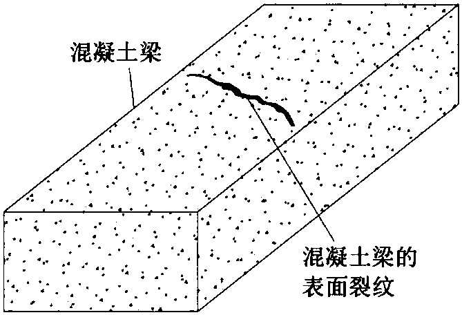 Refined modeling method of damages at concrete structure surface and inner part