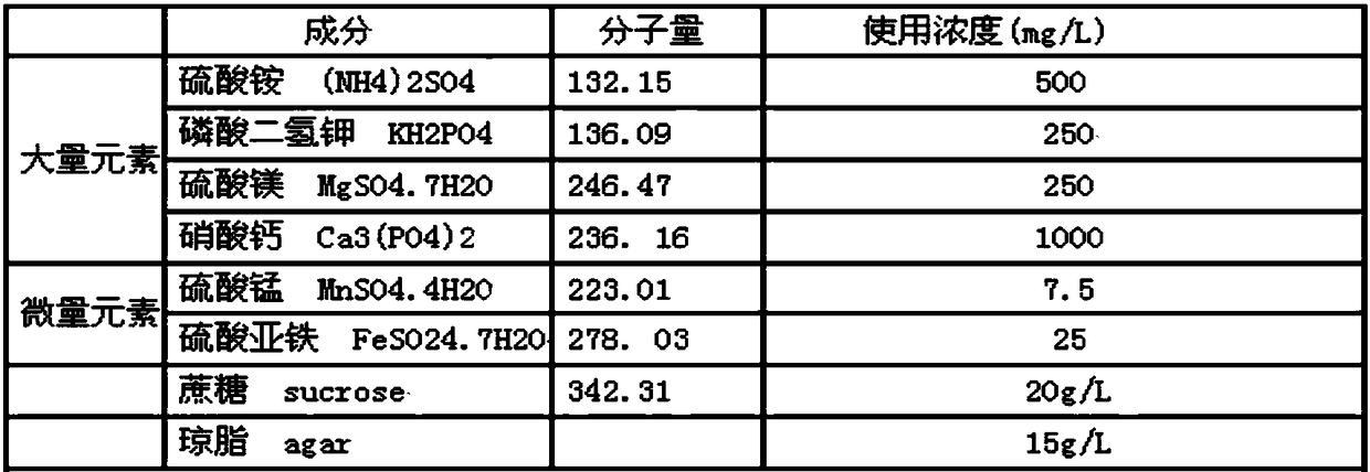 Bletilla striata seed direct seeding natural propagation and seedling raising method