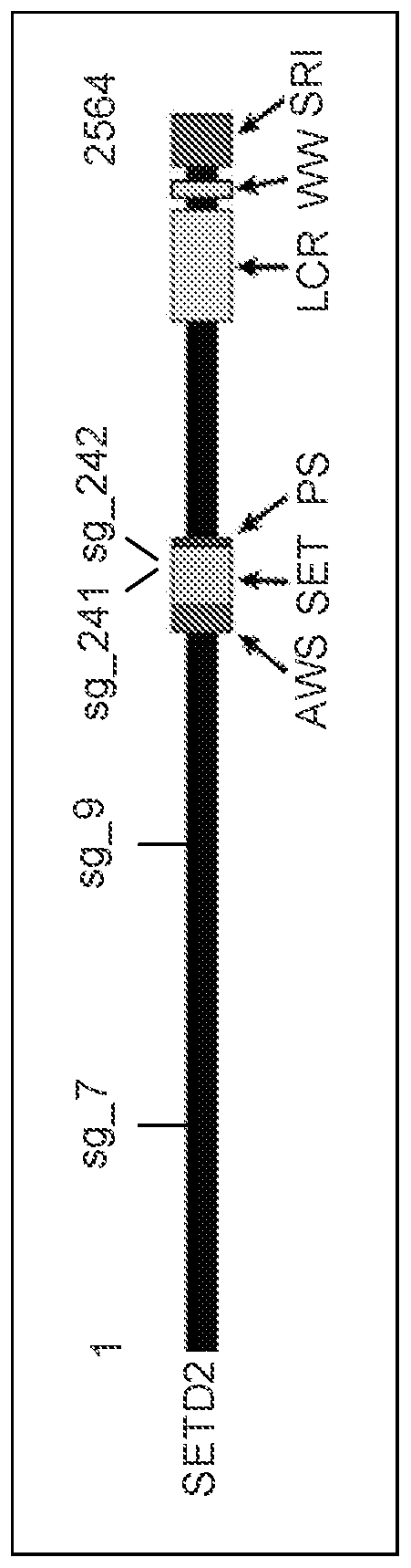 Methods of treating cancer by inhibiting setd2