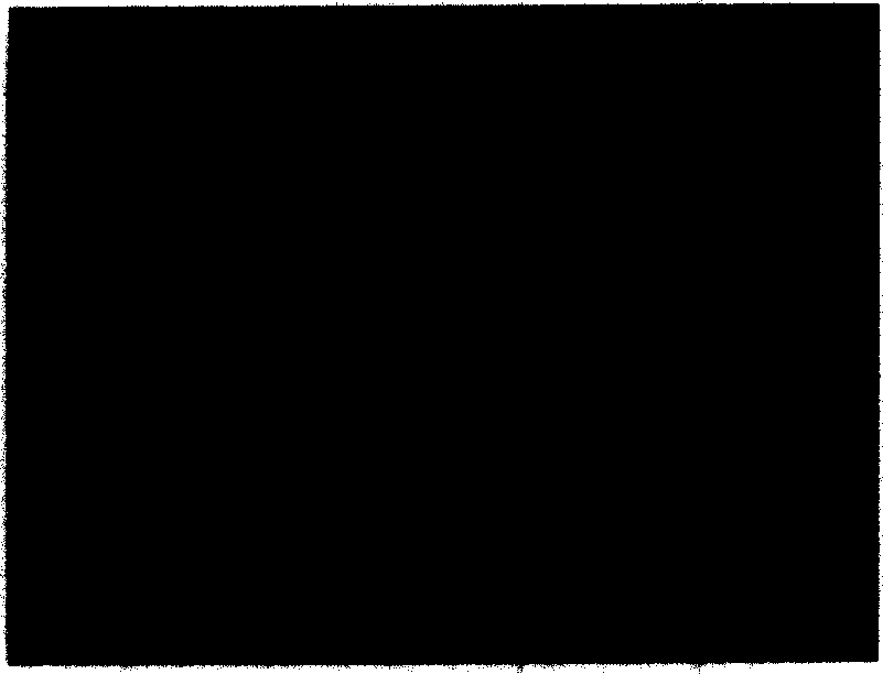 Method for automatically extracting image feature points of workpiece with rough grain under the strong reflection background