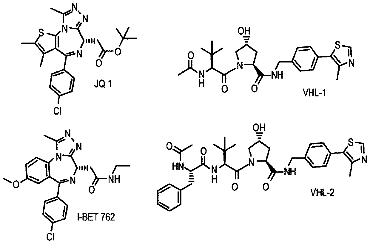 Fluorohydroxyproline derivatives useful in the preparation of proteolysis targeted chimeras