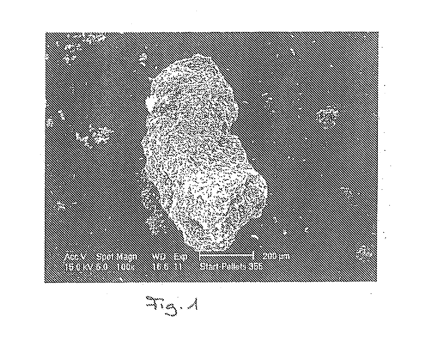 Apparatus and Method for Continuous Production of Spherical Powder Agglomerates