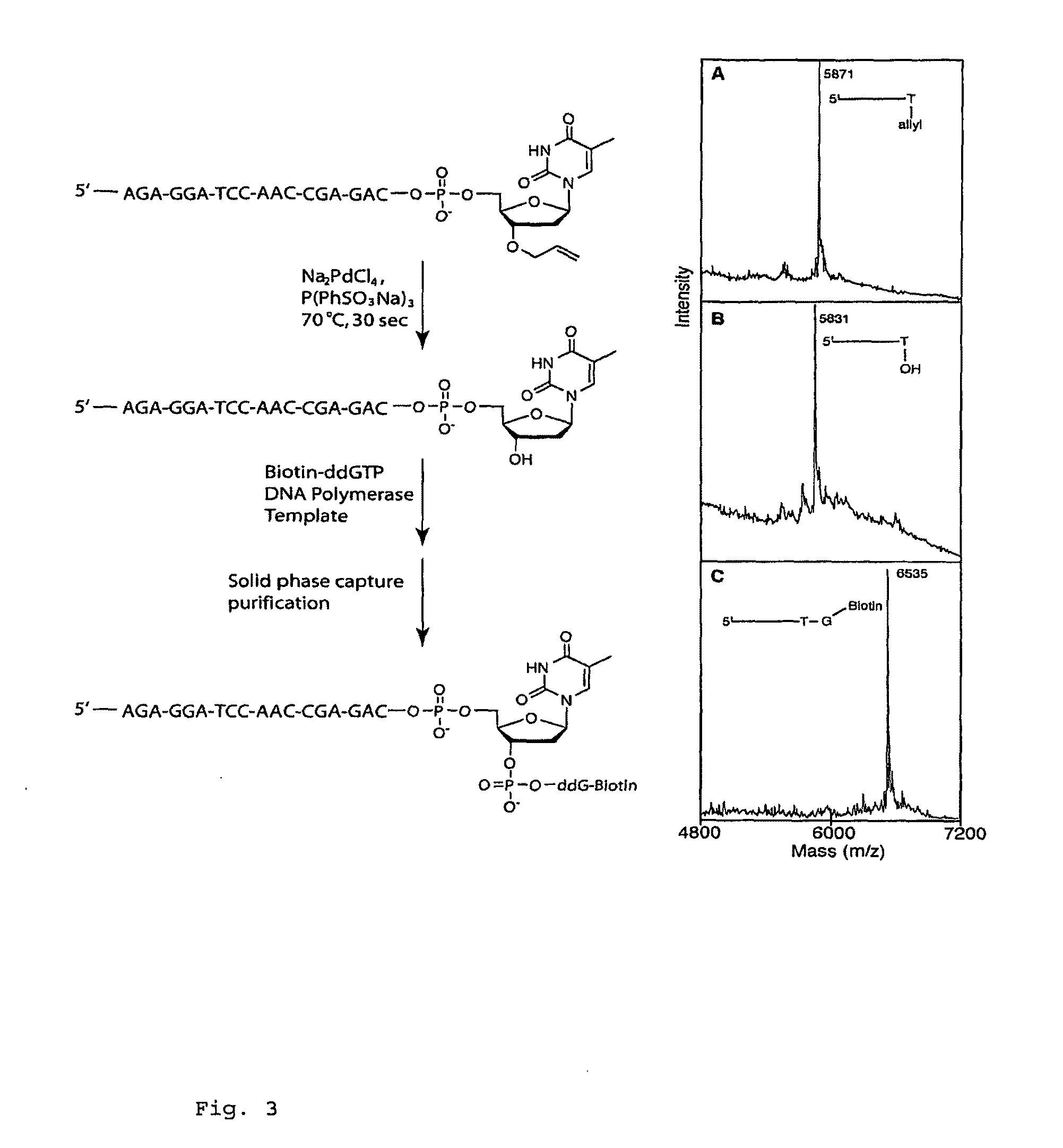Pyrosequencing methods and related compositions