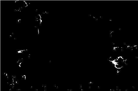 A kind of preparation method of conductive adsorption resin