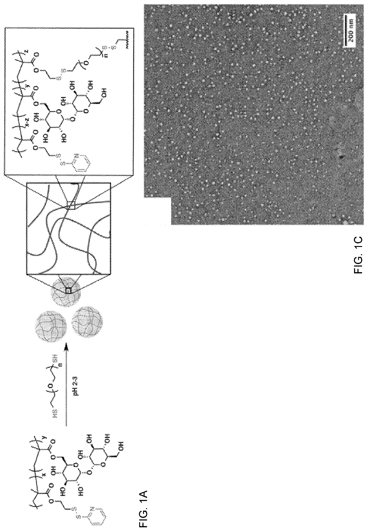 Stabilization of Glucagon by Trehalose Glycopolymer Nanogels