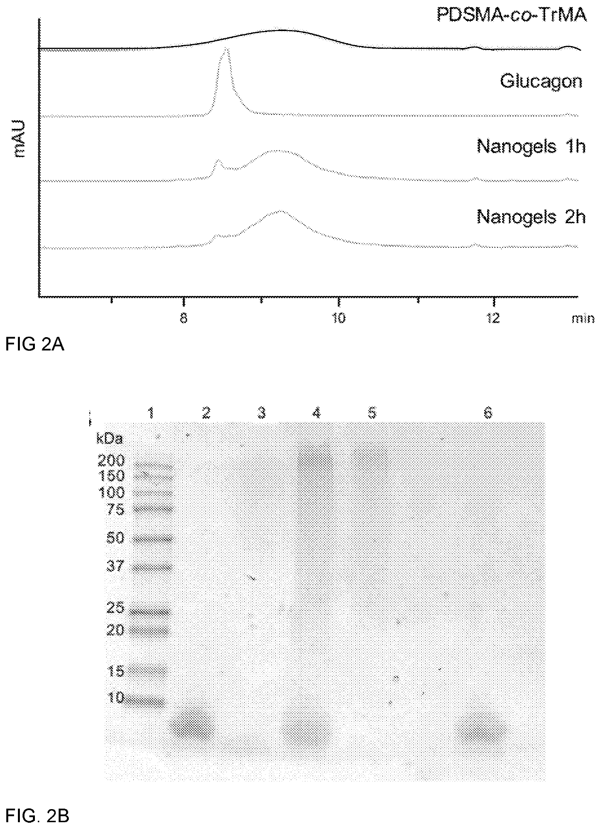 Stabilization of Glucagon by Trehalose Glycopolymer Nanogels