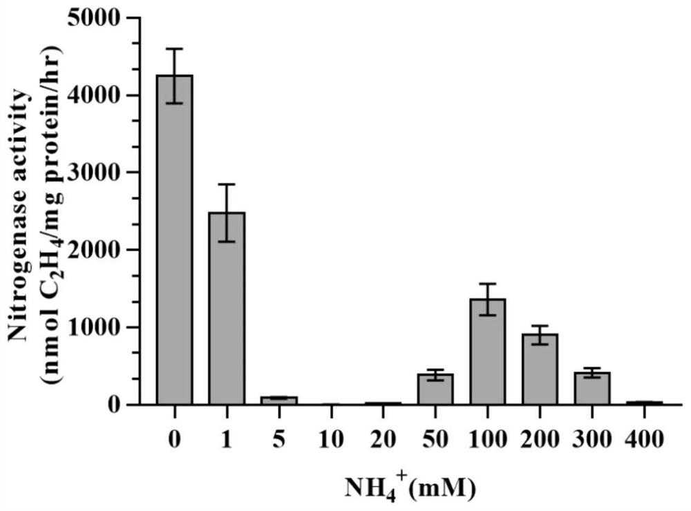 A natural ammonium-resistant nitrogen-fixing microorganism lq3 and its application