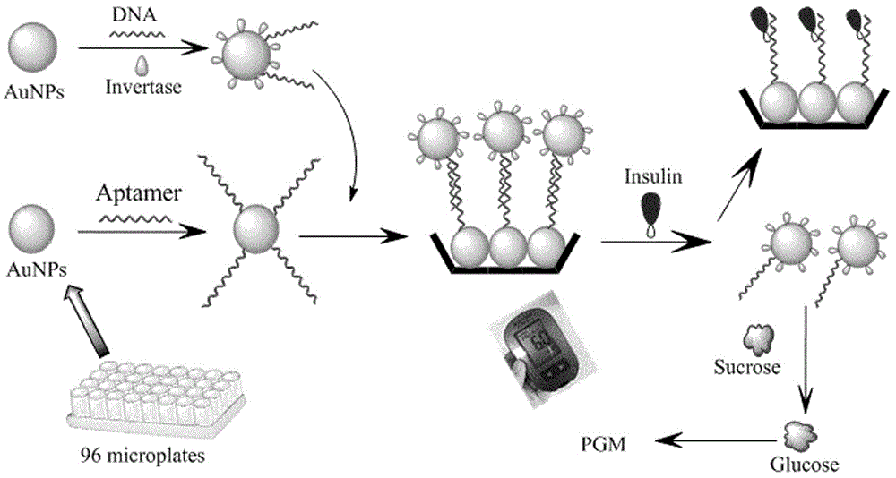High-throughput nucleic acid aptamer sensor for detecting insulin and preparation method thereof