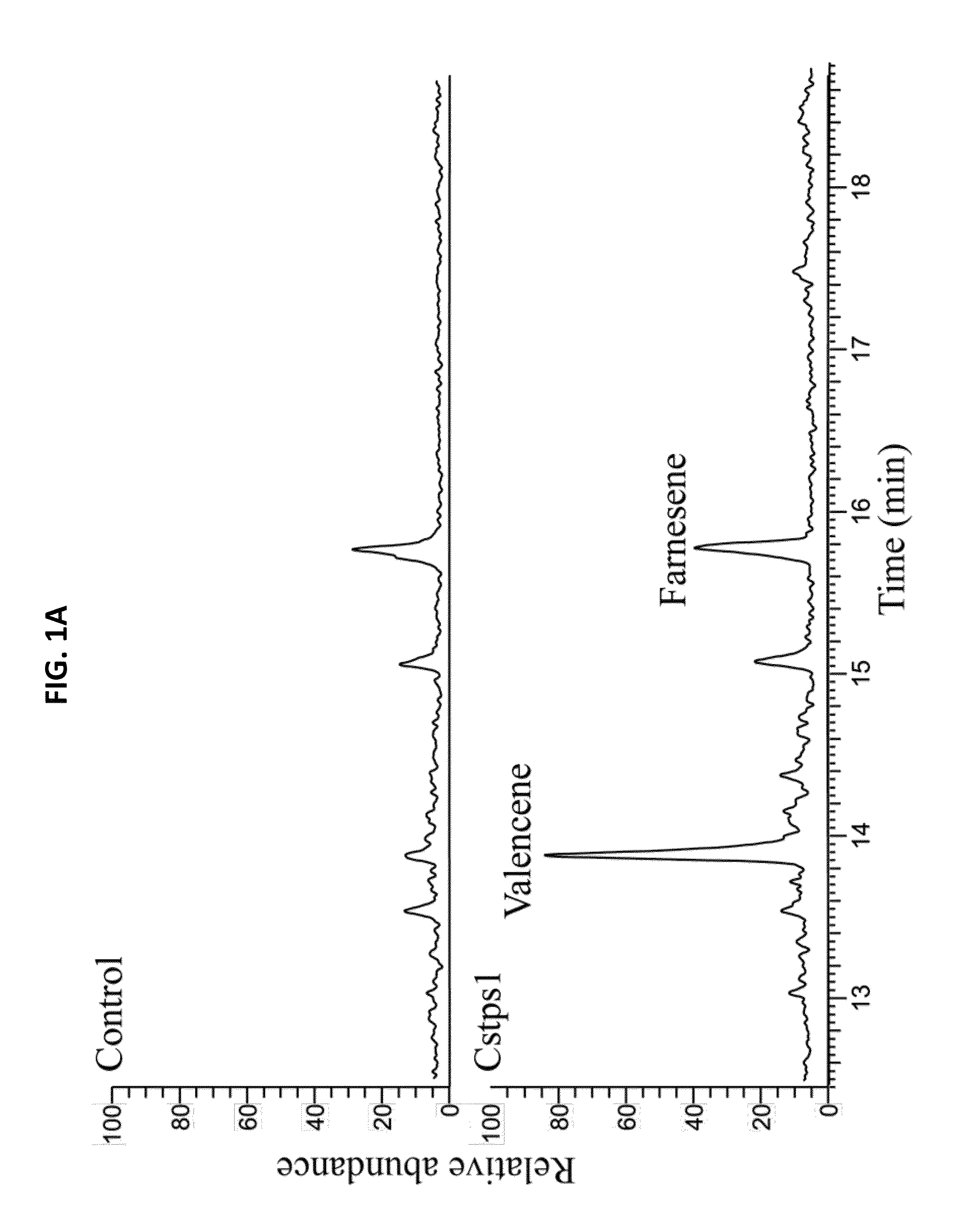 Expression constructs and uses thereof in the production of terpenoids in yeast