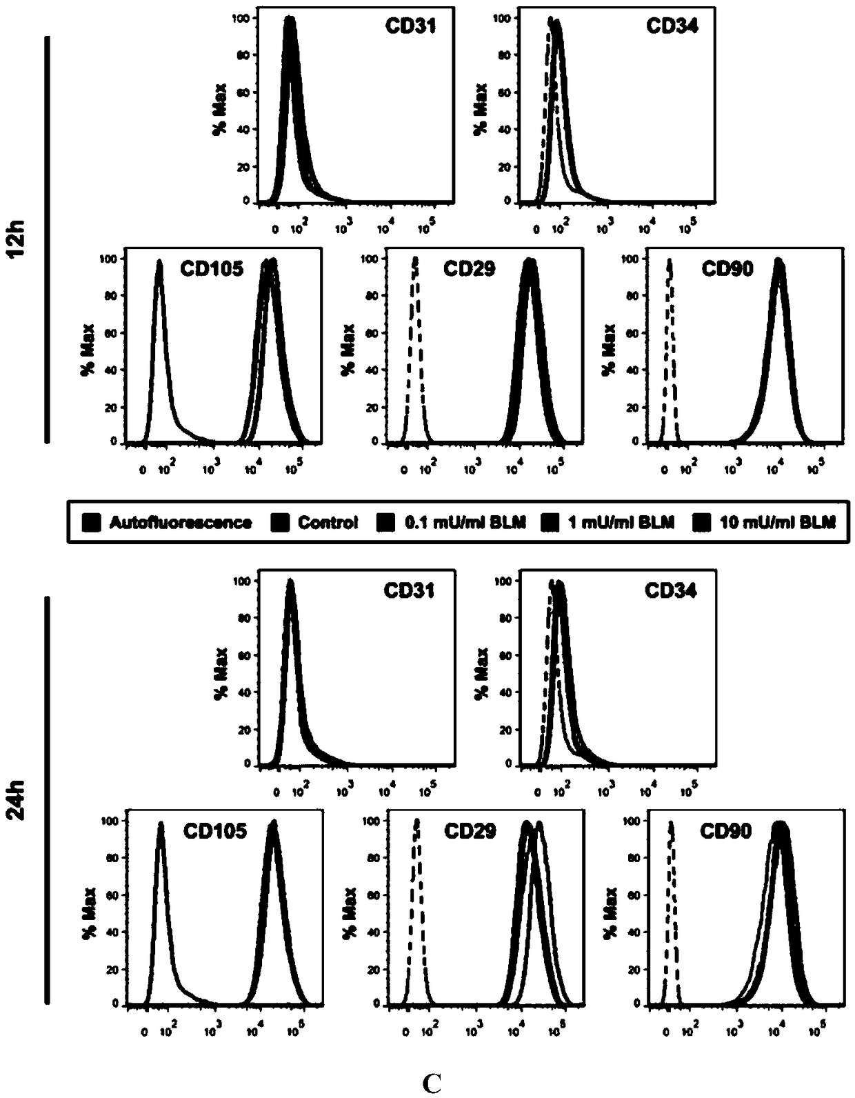 Application of bleomycin to preparation of medicines for restraining tooth eruption