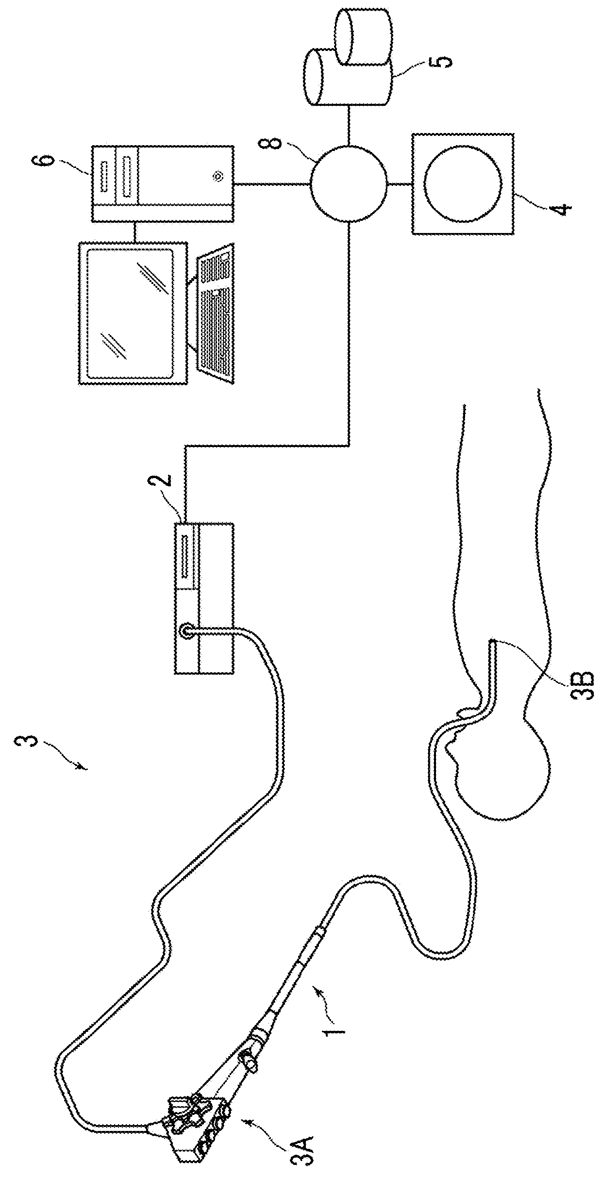 Endoscope position specifying device, method, and program