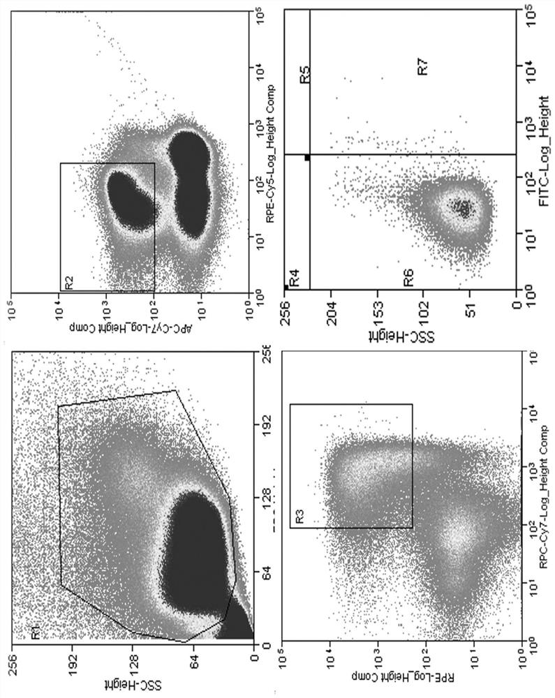 Anti-Henipavirus monoclonal antibody with broad-spectrum neutralizing activity and application