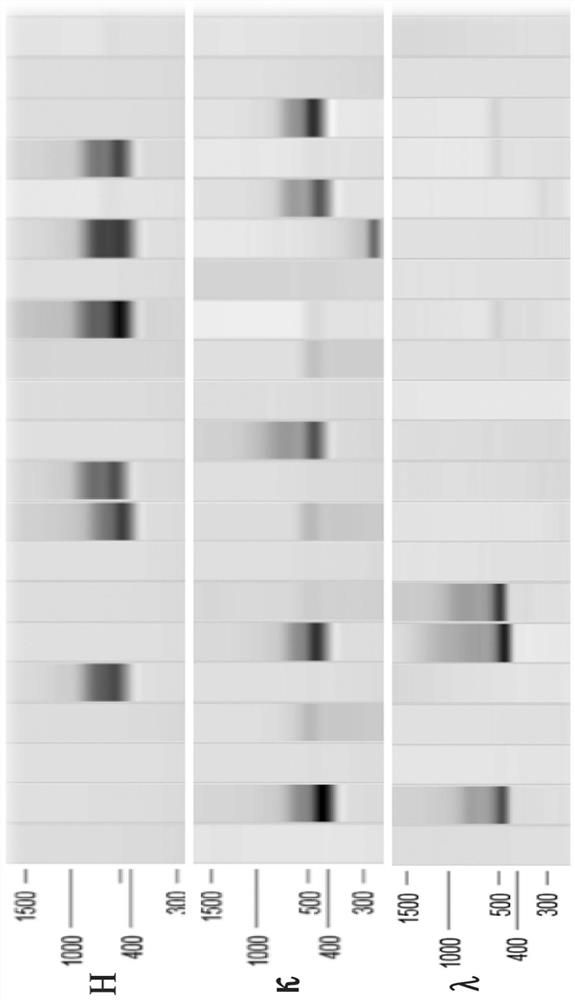 Anti-Henipavirus monoclonal antibody with broad-spectrum neutralizing activity and application