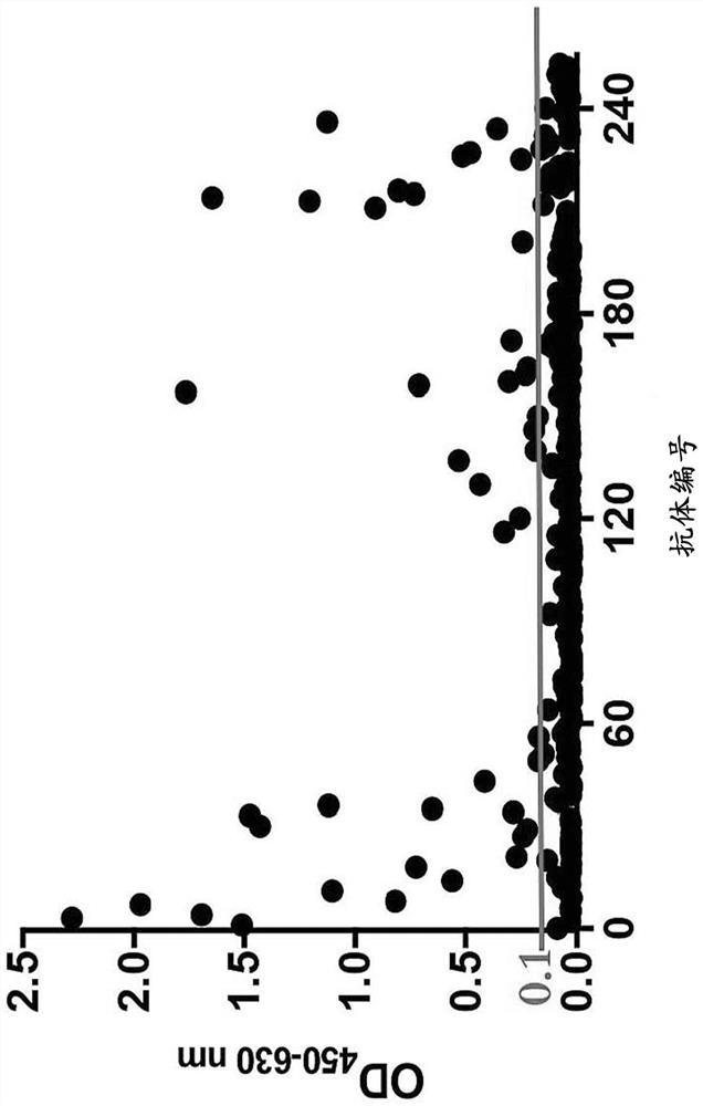 Anti-Henipavirus monoclonal antibody with broad-spectrum neutralizing activity and application