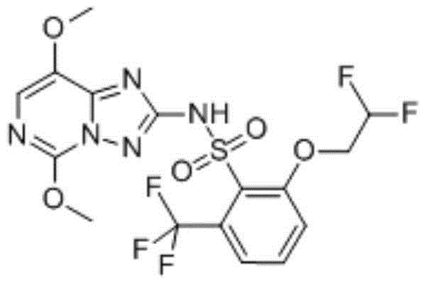 Compound herbicide containing saflufenacil, cyhalofop-methyl and penoxsulam and its application