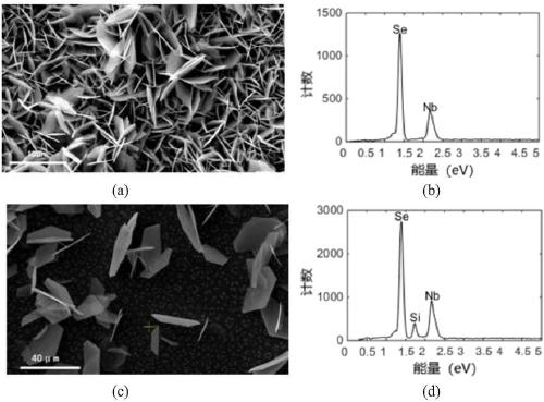 Synthesis device and synthesis method for NbSe2 monocrystal layered nanosheet