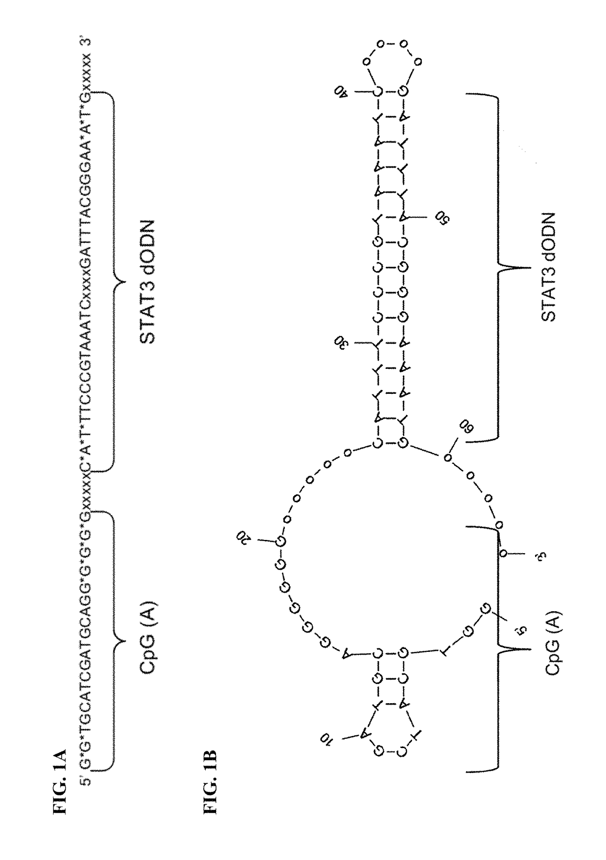 STAT3 inhibitors and uses thereof