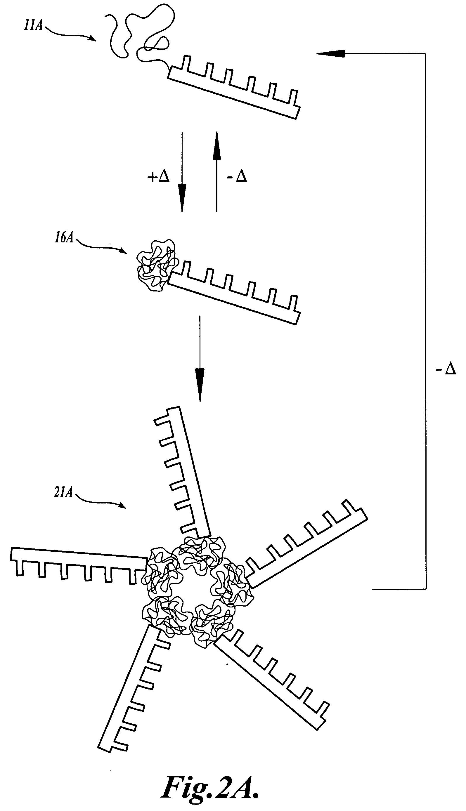 Stimuli-responsive polymer conjugates and related methods