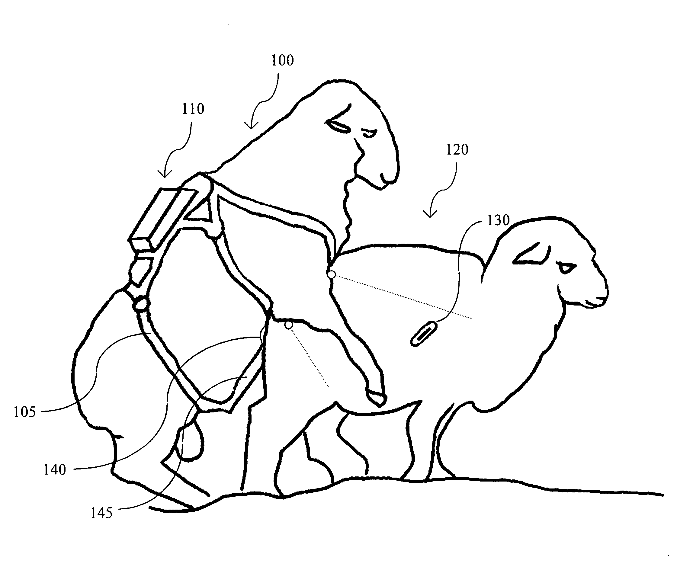 Method and device for automatically detecting mating of animals