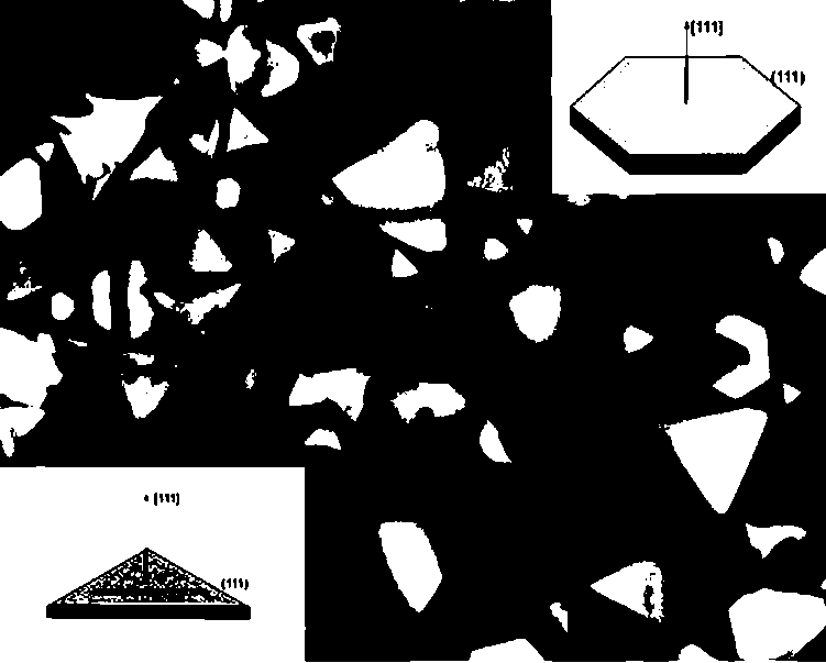 Preparation method for graphene/copper composite nanosheet