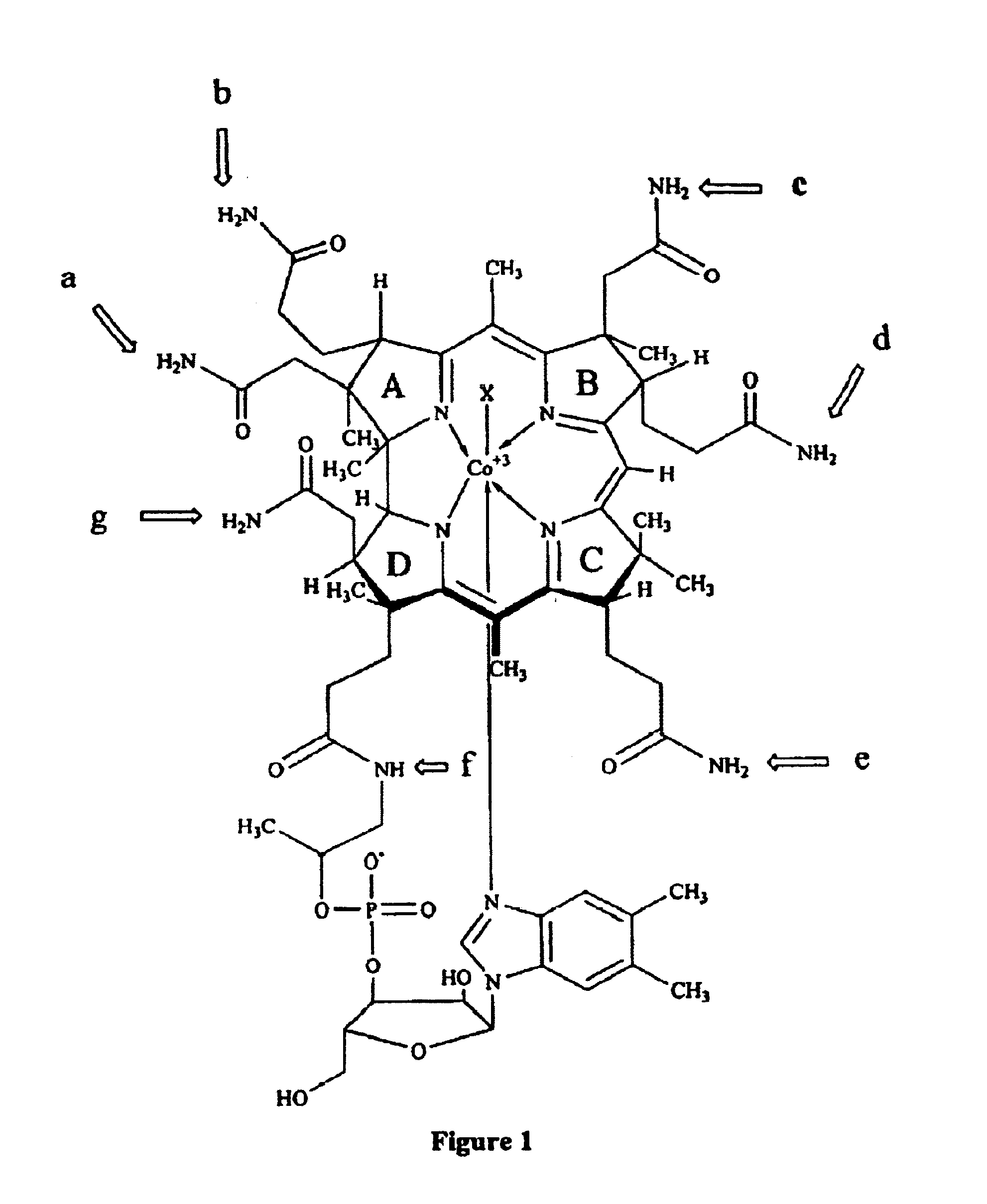 Cobalamin conjugates useful as imaging and therapeutic agents