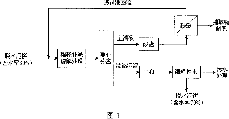 Method of resource protection, decrement treatment of town sewage and sludge